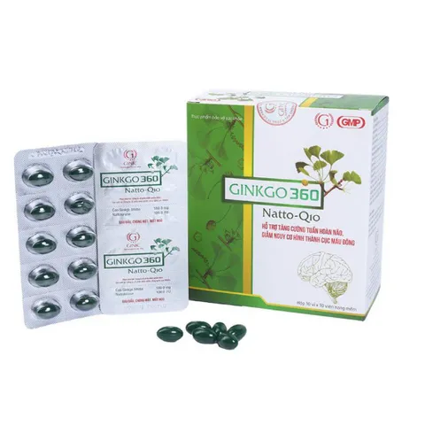 Ginkgo 360 Natto Q10 Abipha (H/100v)