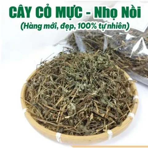 Cây Cỏ Mực, Nhọ Nồi 1kg tươi hoặc khô, làm đen tóc, kích thích mọc tóc, chống rụng tóc, mát gan, kháng khuẩn