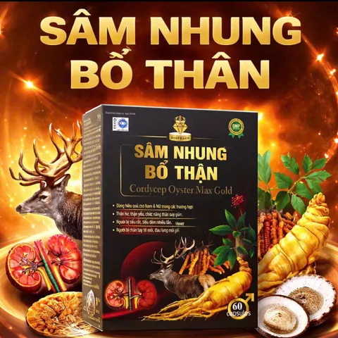 Sâm Nhung Bổ Thận Cordycep Oyster Max Gold – Hỗ trợ bổ thận, tăng sinh lực, giảm tiểu đêm, mệt mỏi 795377