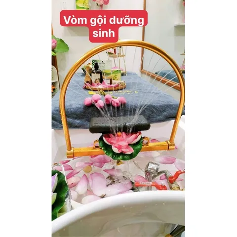Vòm gội đầu dưỡng sinh