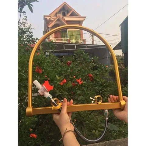 Vòm gội đầu dưỡng sinh