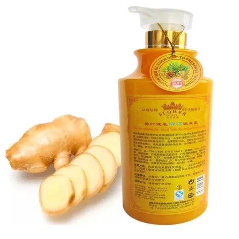 Dầu gội gừng ngăn rụng tóc giảm gầu lưu thông khí huyết cải thiện đau đầu mất ngủ
