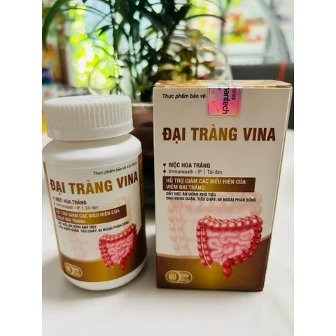 Đại Tràng Vina Hỗ Trợ Giảm Các Biểu Hiện Viêm Đại Tràng 795358