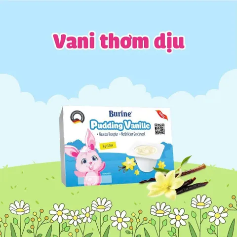 [DATE 12/2026] Pudding Burine vỉ 6 hộp x 50g vị Vani/Chuối/Dâu cho bé từ 6m+
