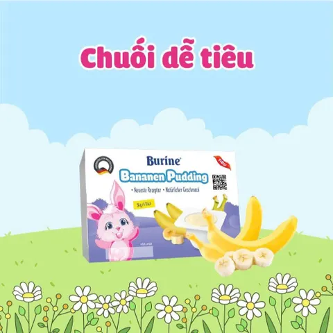 [DATE 12/2026] Pudding Burine vỉ 6 hộp x 50g vị Vani/Chuối/Dâu cho bé từ 6m+