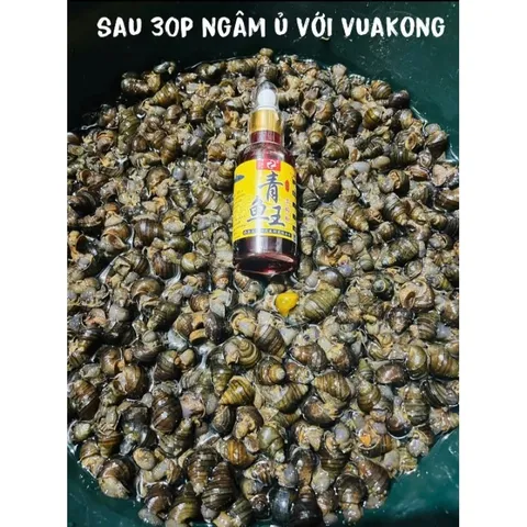 hương liệu câu cá trắm đen( VUA KONG ) siêu đậm đặc lưu hương ổ 12-15tiếng