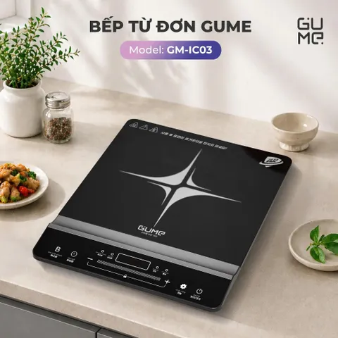 Bếp Từ Đơn Gume GM - IC03
