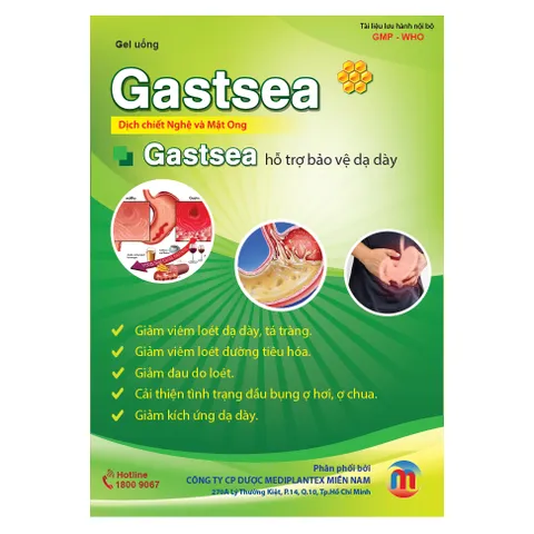 GÓI UỐNG MẬT ONG NGHỆ HỖ TRỢ DẠ DÀY GASTSEA (hộp 20 gói x 15g)