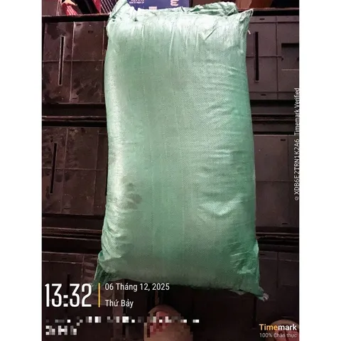 Than gáo dừa hoặt tính Trúc Vàng - Độ hoạt tính 600 - Hàng xuất khẩu