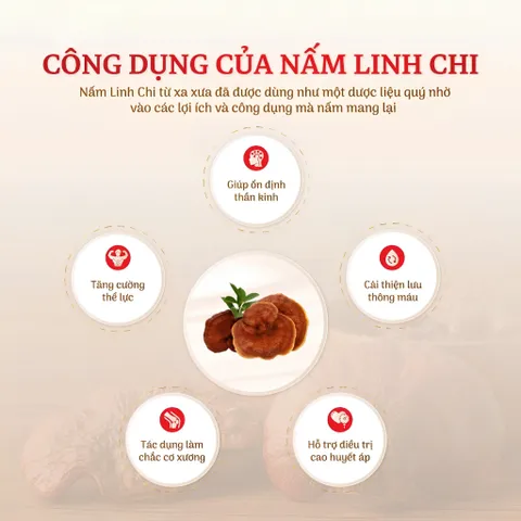 KGS Gold Nước Hồng Sâm 6 Tuổi Linh Chi Hàn Quốc Tăng Đề Kháng Hộp 30 Gói x 50ml Hỗ Trợ Nâng Cao Sức Đề Kháng