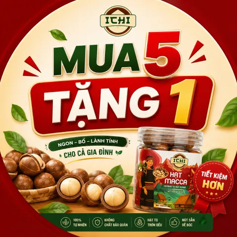 Sale hàng cận Date (T10) - Macca ICHI Thơm Ngon Chuẩn Vị, hạt Mắc Ca nứt vỏ Size Đại giá Ưu đãi chào sàn