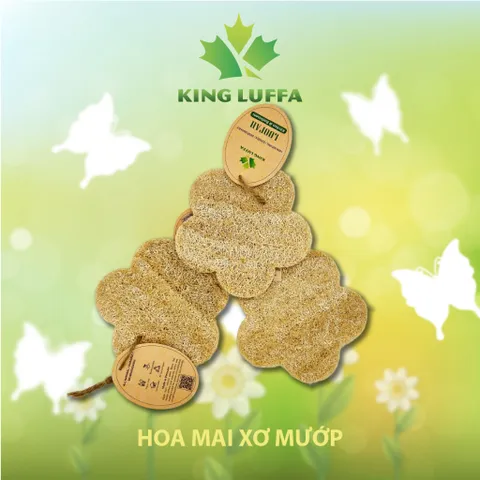 Bộ Xơ mướp bông tắm xơ mướp nguyên trái xơ mướp rửa chén xơ mướp chà lưng xơ mướp rửa bát xơ mướp tẩy tế bào chết