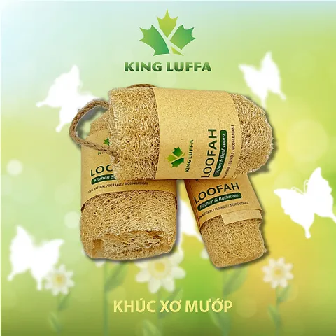 Bộ Xơ mướp bông tắm xơ mướp nguyên trái xơ mướp rửa chén xơ mướp chà lưng xơ mướp rửa bát xơ mướp tẩy tế bào chết