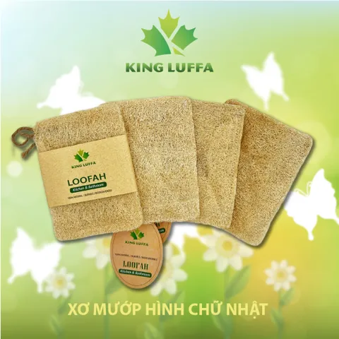 Bộ Xơ mướp bông tắm xơ mướp nguyên trái xơ mướp rửa chén xơ mướp chà lưng xơ mướp rửa bát xơ mướp tẩy tế bào chết