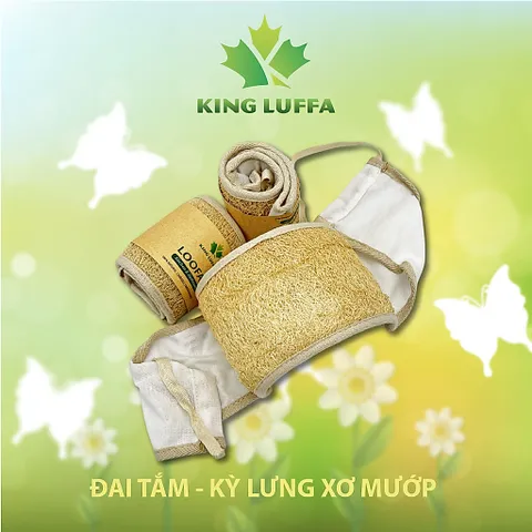 Bộ Xơ mướp bông tắm xơ mướp nguyên trái xơ mướp rửa chén xơ mướp chà lưng xơ mướp rửa bát xơ mướp tẩy tế bào chết