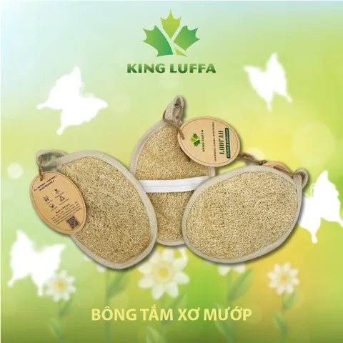 Bộ Xơ mướp bông tắm xơ mướp nguyên trái xơ mướp rửa chén xơ mướp chà lưng xơ mướp rửa bát xơ mướp tẩy tế bào chết