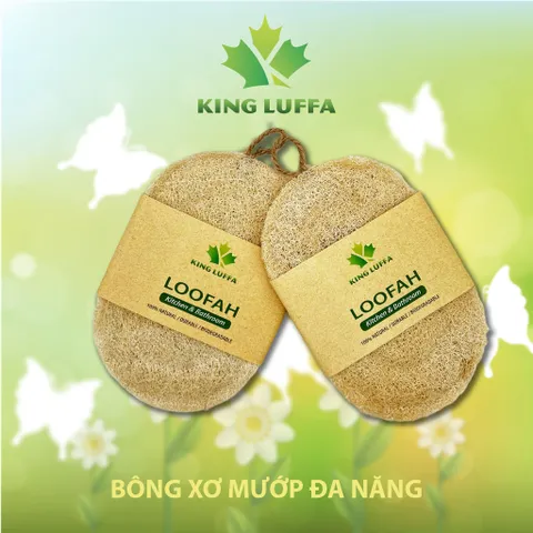 Bộ Xơ mướp bông tắm xơ mướp nguyên trái xơ mướp rửa chén xơ mướp chà lưng xơ mướp rửa bát xơ mướp tẩy tế bào chết