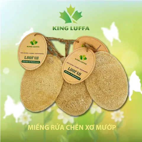 Bộ Xơ mướp bông tắm xơ mướp nguyên trái xơ mướp rửa chén xơ mướp chà lưng xơ mướp rửa bát xơ mướp tẩy tế bào chết