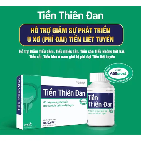 Viên uống Tiền Thiên Đan Fobic (Hộp 20 viên) Giúp giảm nhanh các rối loạn tiểu tiện thường gặp như đi tiểu đêm nhiều lần