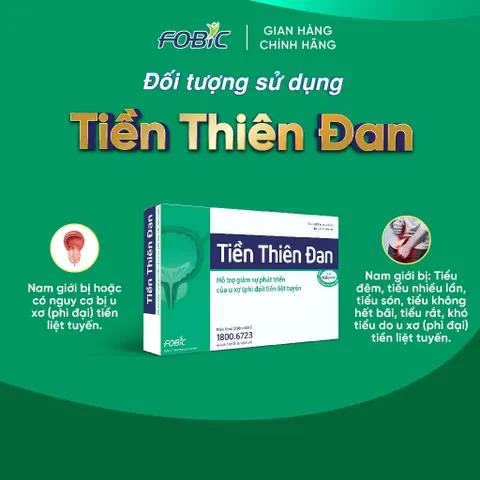 Viên uống Tiền Thiên Đan Fobic (Hộp 20 viên) Giúp giảm nhanh các rối loạn tiểu tiện thường gặp như đi tiểu đêm nhiều lần