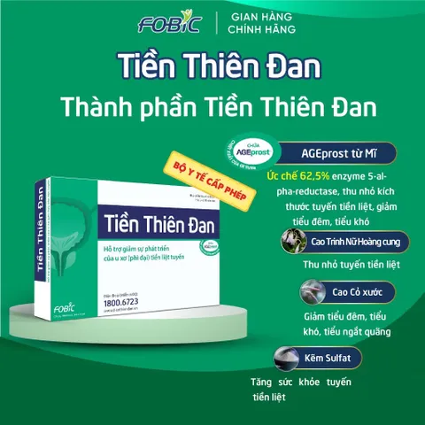Viên uống Tiền Thiên Đan Fobic (Hộp 20 viên) Giúp giảm nhanh các rối loạn tiểu tiện thường gặp như đi tiểu đêm nhiều lần