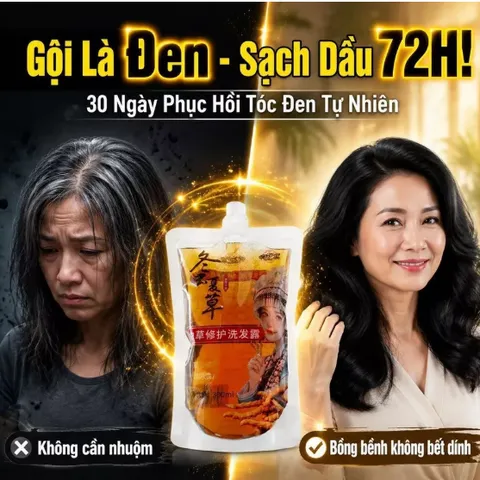 Dầu gội kiểm soát dầu Cordyceps | Dầu gội dưỡng tóc và làm đen tóc | Dầu gội dưỡng tóc sạch da đầu thơm lâu
