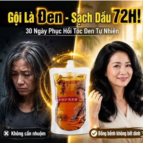 Dầu gội kiểm soát dầu Cordyceps | Dầu gội dưỡng tóc và làm đen tóc | Dầu gội dưỡng tóc sạch da đầu thơm lâu