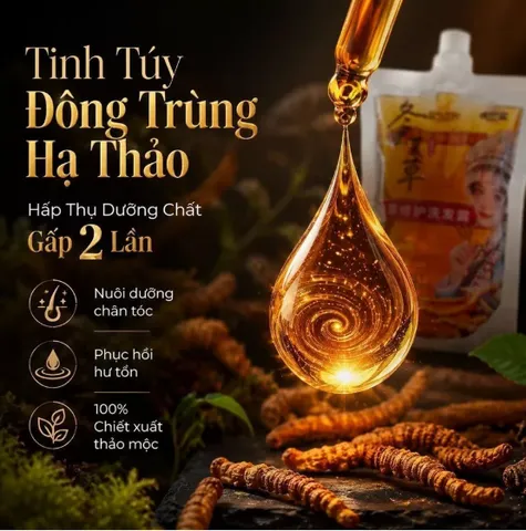 Dầu gội kiểm soát dầu Cordyceps | Dầu gội dưỡng tóc và làm đen tóc | Dầu gội dưỡng tóc sạch da đầu thơm lâu