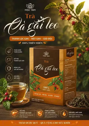 hỗ trợ thải độc mát gan trà cà gai leo hộp 30 gói hàng chính hãng