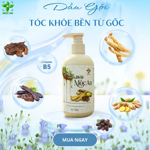 [ MUA 1 TẶNG 1 KHĂN MẶT CAO CẤP ] MỘC AN Dầu Gội Thiên Nhiên 300ml - Thành Phần Nhân Sâm Gừng Bồ Kết Hà Thủ Ô Bồ Hòn