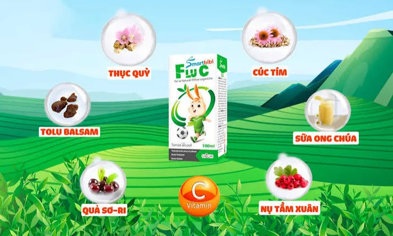 Combo Smartbibi ZinC và Smartbibi Flu C TPBVSK Giúp Bé Ăn Ngon Hỗ Trợ Tăng Đề Kháng Phòng Cảm Lạnh, Cảm Cúm