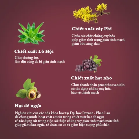 Kem Thoa Giảm Sưng Đau, Tê Phù, Chuột Rút Do Suy Giãn Tĩnh Mạch Vascovein Dân Khang - Tuýp 50g