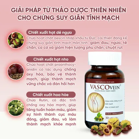 Viên Uống Hỗ Trợ Cải Thiện Bệnh Suy Giãn Tĩnh Mạch Vascovein Hộp 30 viên