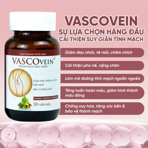 Viên Uống Hỗ Trợ Cải Thiện Bệnh Suy Giãn Tĩnh Mạch Vascovein Hộp 30 viên