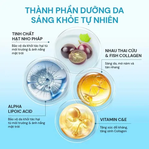 Viên uống đẹp da sáng da giảm sạm nám chống lão hóa Oribe Dân Khang Hộp 30 viên