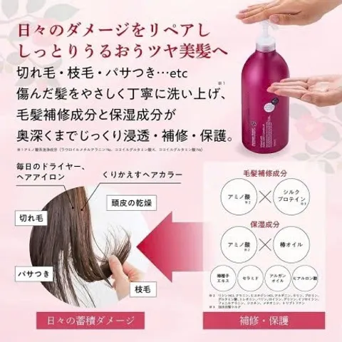 Bộ Dầu Gội, Xả Hoa Trà Phục Hồi Tóc Hư Tổn Salon Link Salonlink Damage & Repair 1000ml [hàng nhập khẩu]