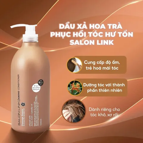 Bộ Dầu Gội, Xả Hoa Trà Phục Hồi Tóc Hư Tổn Salon Link Salonlink Damage & Repair 1000ml [hàng nhập khẩu]