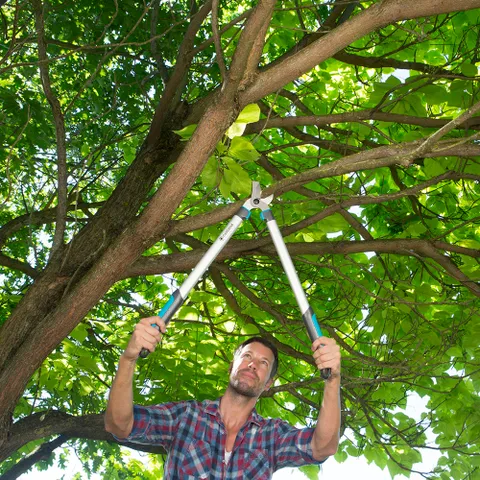 Kìm cắt cành Gardena cán dài 68cm 12003-20