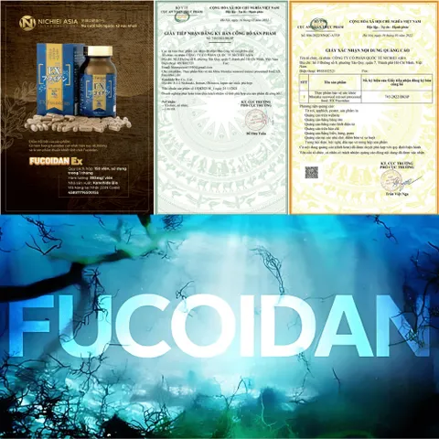 Ex Fucoidan Hộp 150 Viên Cải Thiện Nâng Cao Sức Đề Kháng - Nhập Khẩu Chính Hãng Nhật Bản