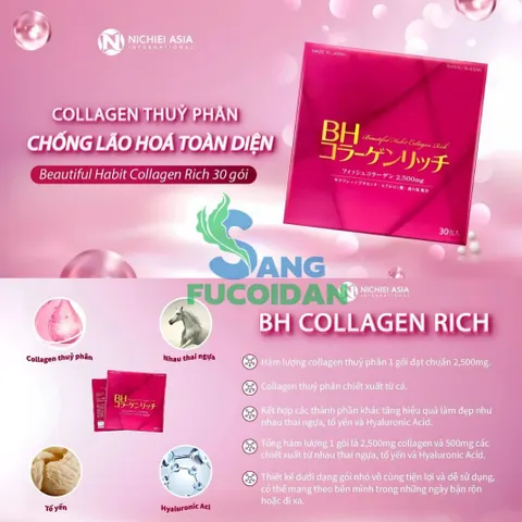 Thực Phẩm Bảo Vệ Sức Khỏe BH Collagen Rich