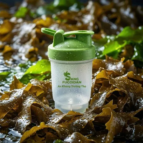 [Quà Tặng Theo Đợt] Siro Ho hoặc Bình Lắc Sang Fucoidan Shaker 500ml Nhựa Số 5 An Toàn 100%