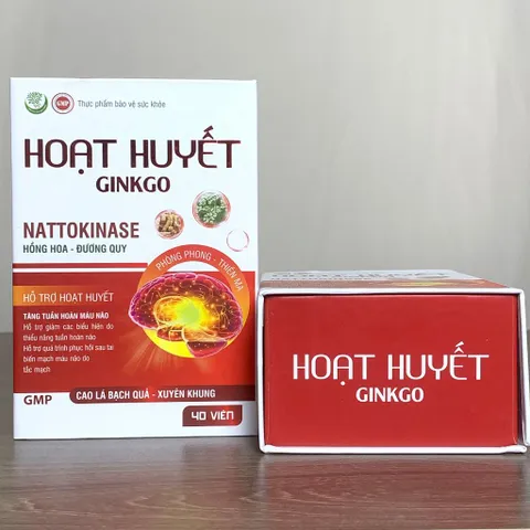 Hoạt Huyết GINKGO - Hỗ trợ hoạt huyết, tăng tuần hoàn máu não