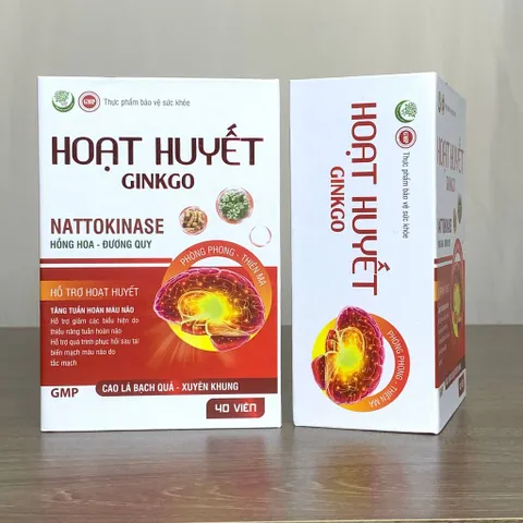 Hoạt Huyết GINKGO - Hỗ trợ hoạt huyết, tăng tuần hoàn máu não