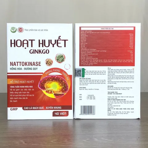 Hoạt Huyết GINKGO - Hỗ trợ hoạt huyết, tăng tuần hoàn máu não