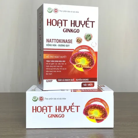 Hoạt Huyết GINKGO - Hỗ trợ hoạt huyết, tăng tuần hoàn máu não