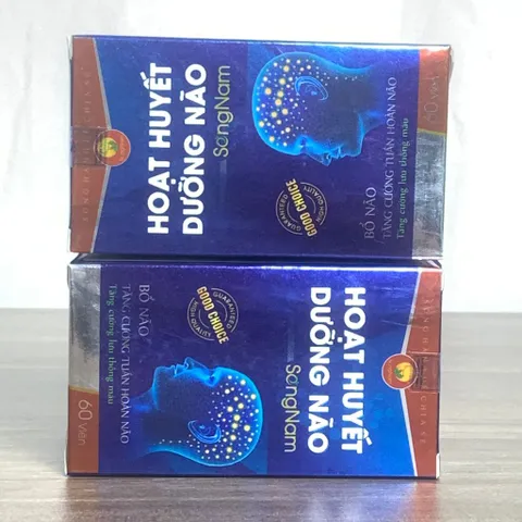 TPBVSK Hoạt Huyết Dưỡng Não Song Nam - Giúp hoạt huyết, tăng cường tuần hoàn máu