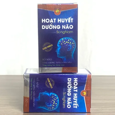 TPBVSK Hoạt Huyết Dưỡng Não Song Nam - Giúp hoạt huyết, tăng cường tuần hoàn máu