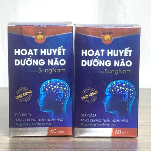 TPBVSK Hoạt Huyết Dưỡng Não Song Nam - Giúp hoạt huyết, tăng cường tuần hoàn máu