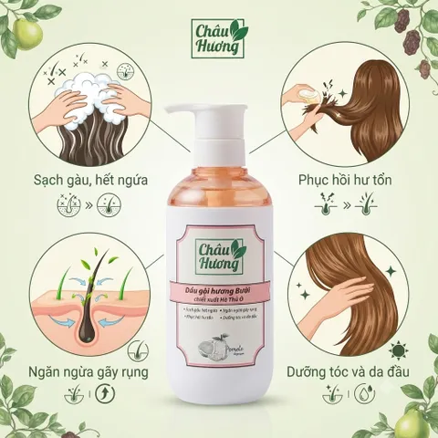Dầu Gội Hương Bưởi Châu Hương 500ml -Làm Sạch,Phục Hồi Hư Tổn,Ngừa gãy rụng,Dưỡng tóc và Da Đầu