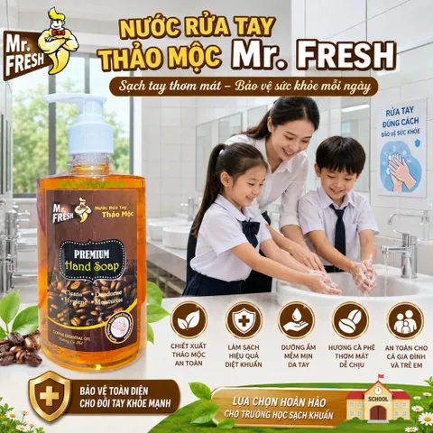 Nước rửa tay khử mùi Diệt khuẩn Mr.Fresh 500ml Hương Cam Quế